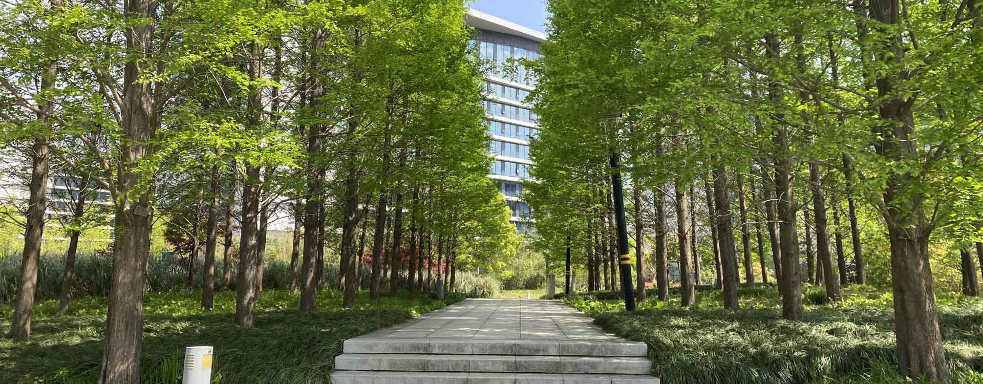浦江科技廣場(chǎng)園區(qū)環(huán)境